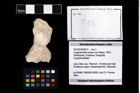 Foto (Objekt + Etikett) von Longodromites excisus (von Meyer, 1857)  (NHMW-GEO-2014-0194-0013)